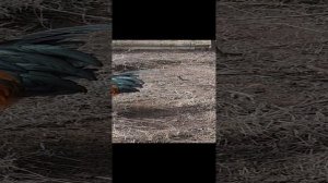 #Mukbang Tatyana eats #Влог #весна 2022