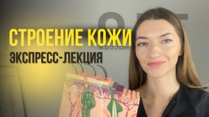 Строение кожи, эпидермис, дерма, лекция по косметологии