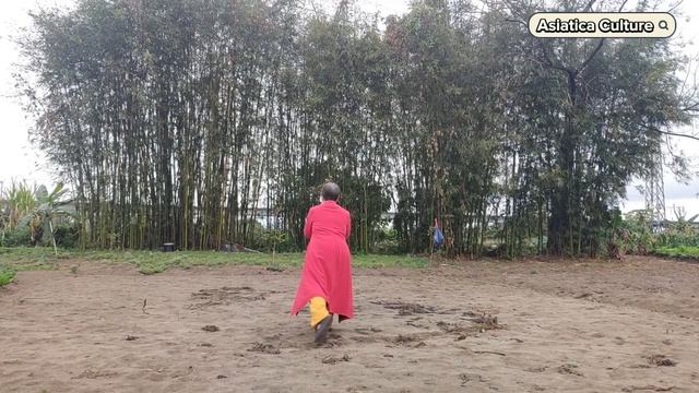 Wudang Tai Chi: Workout for Body and Mind смотреть онлайн