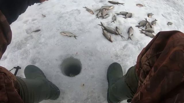 Озеро Ардава 09 02 2019.На Рыбалку,для души!!! смотреть онлайн