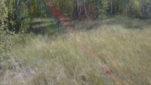 26 км Вилюйского тракта.