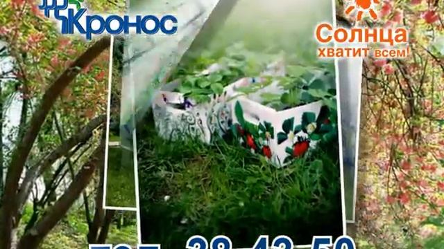 Дизайнерские теплицы для ваших любимых! смотреть онлайн