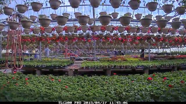 How a greenhouse grows in 3 and a half minutes смотреть онлайн