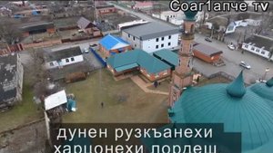 сагопши тв