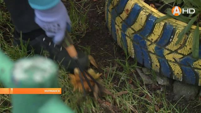 Жители МКД живут в гармонии с председателем ТСН «Гармония» смотреть онлайн