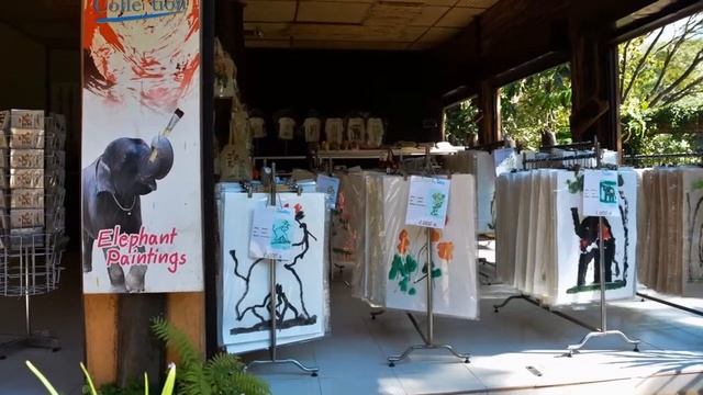 Тайланд через объектив 18-200 январь2015 смотреть онлайн