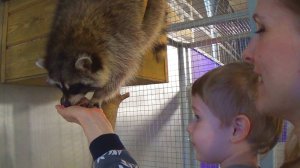 Макс в зоопарке кормит животных