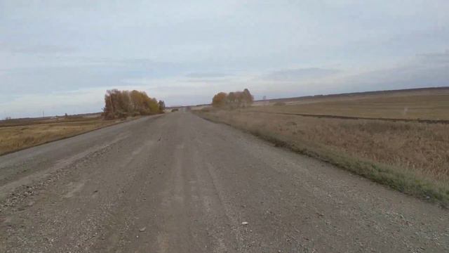 Сибирские просторы, Сибирская лесостепь. Дорога Коченево  -  с.Федосиха.