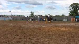 Соревнования на кубок "Всадники Приозерья", конкур до 60 см, 21 мая 2016 года