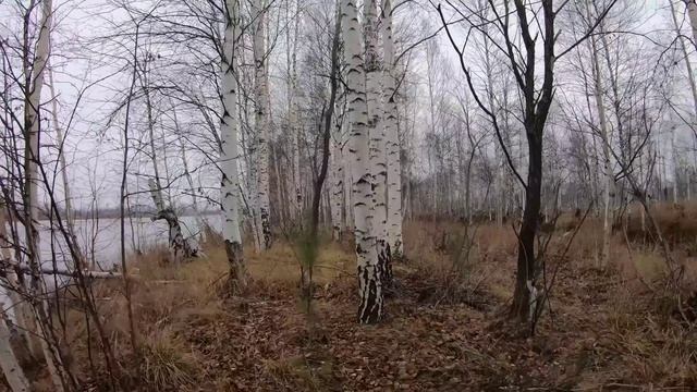 Первый лёд! Рыбалка на секретном озере..avi смотреть онлайн