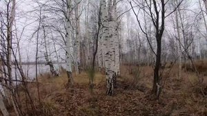 Первый лёд! Рыбалка на секретном озере..avi