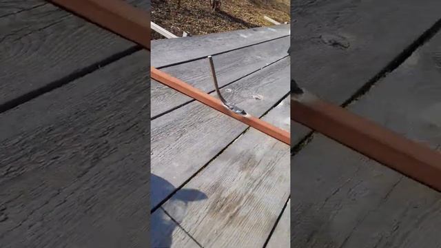 Прожектор для дачи... смотреть онлайн