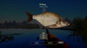 Русская Рыбалка 4 фарм на озеро Старый Острог, фарм на лещах для новичков!(Russian Fishing 4)