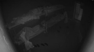 Зечки - тоже человечки