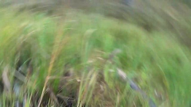 ЗАТОНУВШИЙ В БОЛОТЕ ЭКСКАВАТОР смотреть онлайн