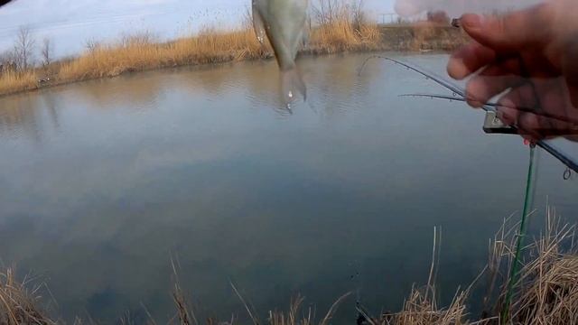 Открыл Фидерный сезон в марте./Рыбалка на фидер ранней весной.