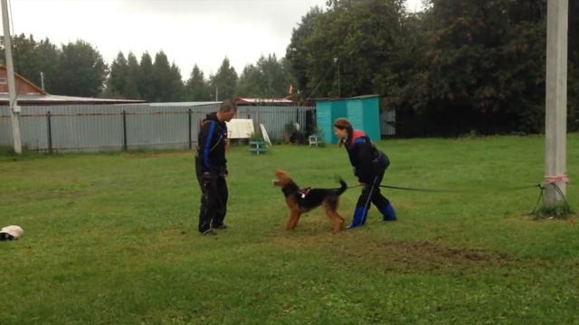 Динамит Ф Эриксон