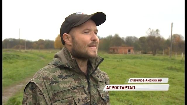 Государственный грант на развитие фермерского хозяйства в области могут получить разные отрасли