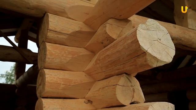 Как правильно выбрать участок под строительство? Выпуск №1 смотреть онлайн