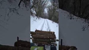 Заготовка дров.Зубр 8