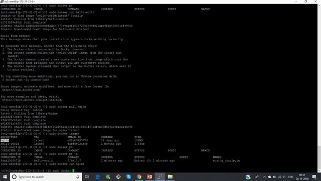 Install Docker on Linux Instance | Docker Tutorial For Beginners
