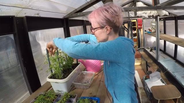 ВЛОГ// 1 ДЕНЬ С ЦВЕТУЛЕЙ Ч 1. смотреть онлайн