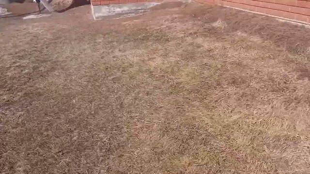 приехал к себе на участок смотреть онлайн