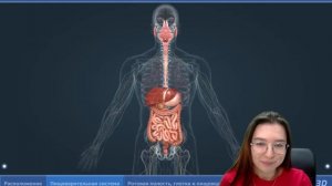 ПИЩЕВАРИТЕЛЬНАЯ СИСТЕМА ЗА 45 МИНУТ | БИОЛОГИЯ | ОГЭ 2023 | МАСТЕР-ГРУППА | 99 БАЛЛОВ