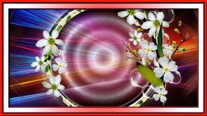 Зацелую тебя выше облаков Павел Бородин