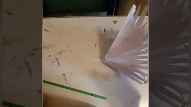 Цветок в подарок родным и близким????⚘️?? смотреть онлайн