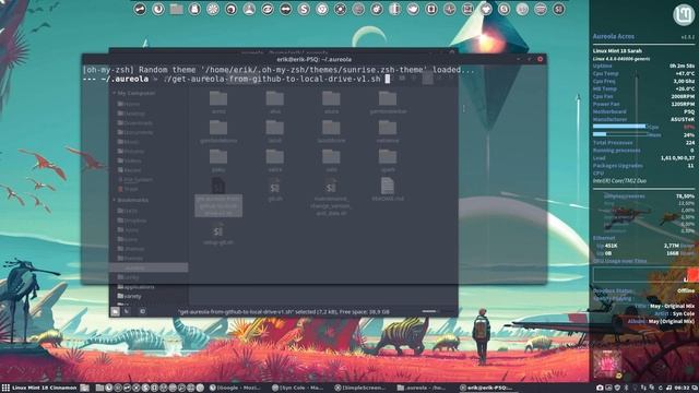 How to install the new Aureola Skeleton conky when you have Aureola already installed смотреть онлайн