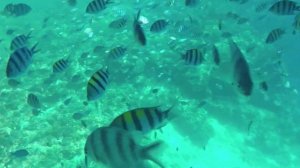 Филиппины: Своим ходом на Корон, Райский Палаван и Удивительный Себу!!!