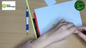 Мастер-класс по квиллингу «Цыплята»