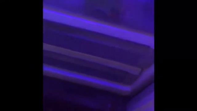 Плитка из нутеллы