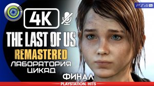 «Лаборатория цикад» (ФИНАЛ) 100% | Прохождение The Last of Us: Remastered ? Без комментариев