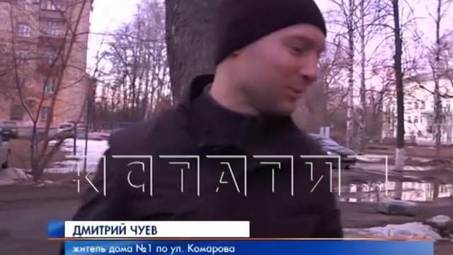 Пернатая катастрофа - массовый падеж птиц в Ленинском районе