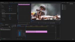 How To Create A Parallax Effect In Premiere Pro
