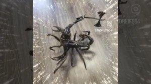 Царь скорпионов