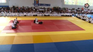 Michele Quaranta Aikido demonstration Romania 2017
