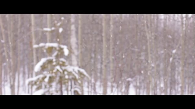 Испытания Арбалета Ягуар II - приятно удивил !!!