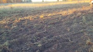 Проверка трактора Т-25 после ремонта топливной аппаратуры. Освоение целины.