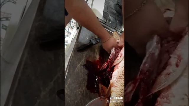 Улов мужа,и чистка карпа??? смотреть онлайн