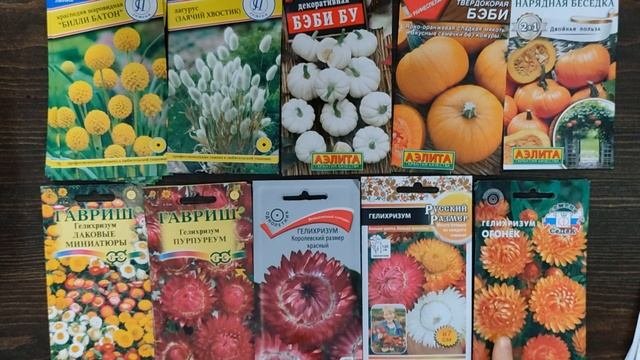 Мои семена цветов - обзор сухоцветов