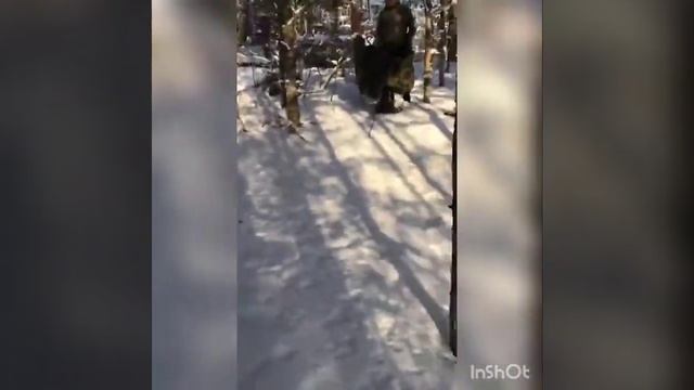 ПиКонь и снег! Тестируем лыжу. смотреть онлайн