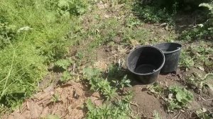 Столбы для крыльца деревянного каркасника
