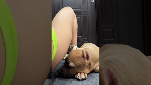 Ему просто необходимо пристально следить за всем происходящим в доме👌🏻😂 смотреть онлайн