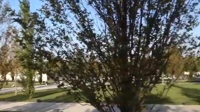 Футуристичный парк Галицкого в Краснодаре новая достопримечательность смотреть онлайн