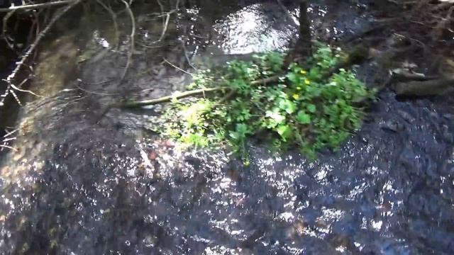 ВОТ В ТАКИХ РУЧЬЯХ И НАДО ИСКАТЬ ЗОЛОТО!!! смотреть онлайн