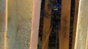 Прозрачный улей зимовка без потерь, без канди, обработка пчёл апизоль , легкий контроль пчёл на юг