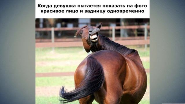 Лютые приколы . РУССКАЯ МЭРИЛИН МОНРО .Угарные мемы смешные картинки смотреть онлайн